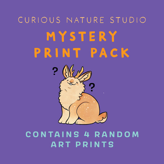 Mystery Art Print Pack
