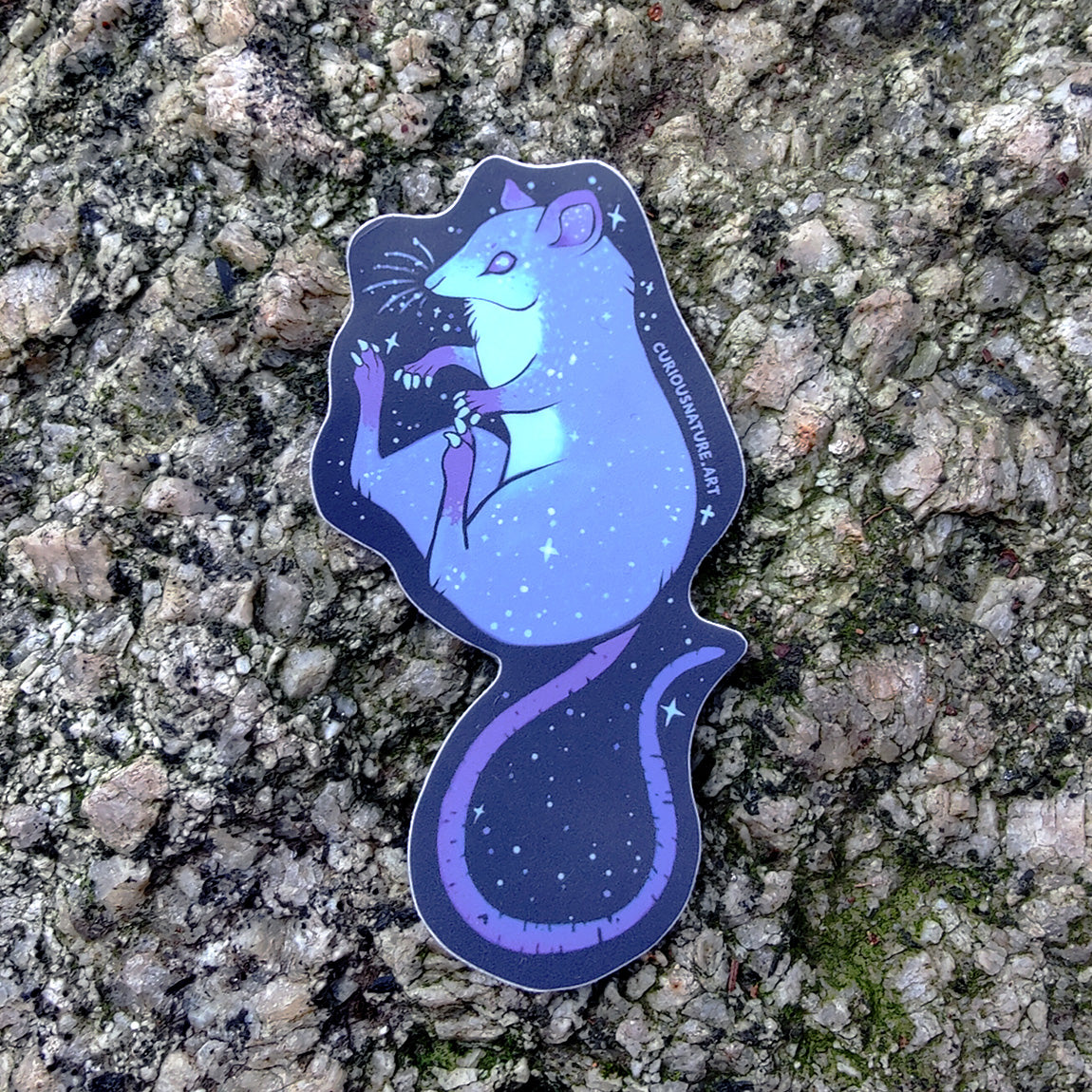 Twinkle Rat • Vinyl Sticker
